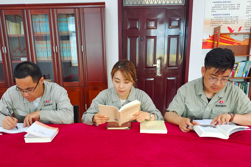 寧夏鑫爾特公司黨支部開展黨史學習研討會1.png 寧夏鑫爾特公司黨支部開展黨史學習研討會1.png