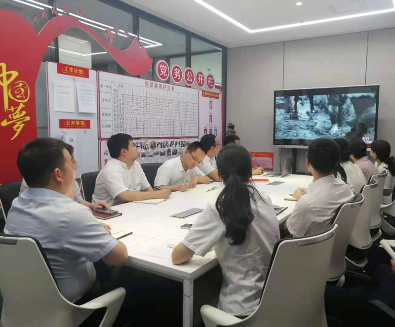北京新能科技公司黨支部組織開展“慶七一”主題黨日活動(dòng)