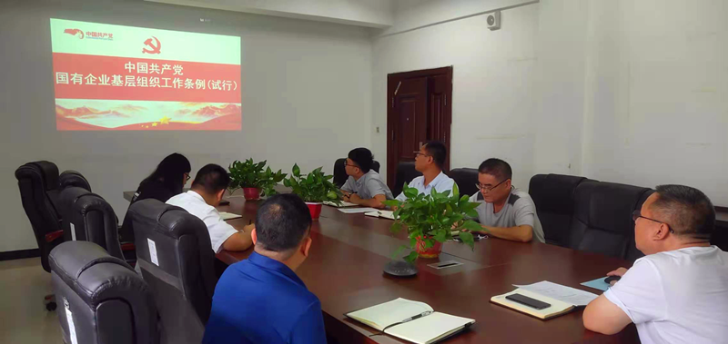 仙桃公司黨支部對《中國共產黨國有企業(yè)基層組織工作條例(試行)》進行再學習再落實