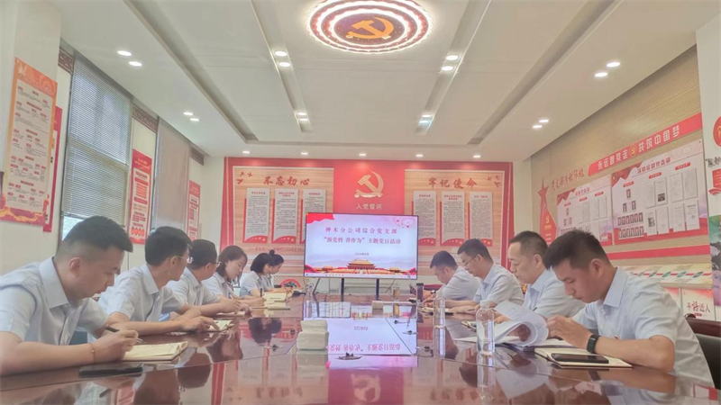 神木分公司綜合黨支部開展“強(qiáng)黨性，善作為”主題黨日活動.png