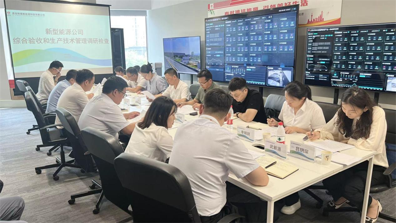 新型能源公司聯(lián)合檢查組到西安公司開展綜合驗(yàn)收和生產(chǎn)管理調(diào)研檢查.png