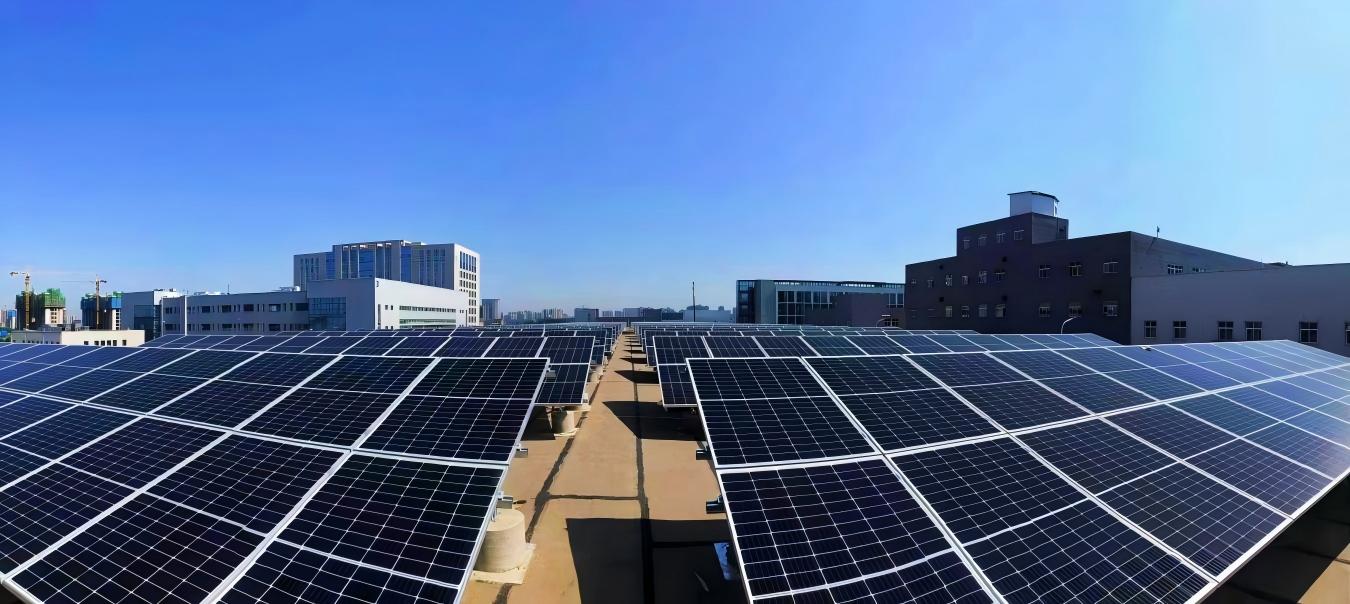 011756694470697396.jpg WPS圖片(1).jpg